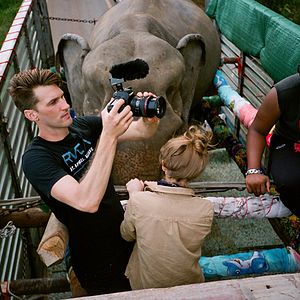 Foto Love & Bananas: An Elephant Story