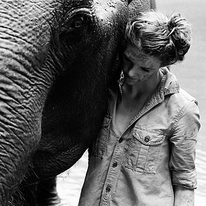 Foto Love & Bananas: An Elephant Story