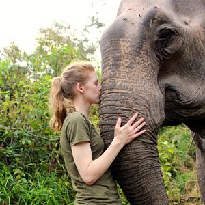 Foto Love & Bananas: An Elephant Story