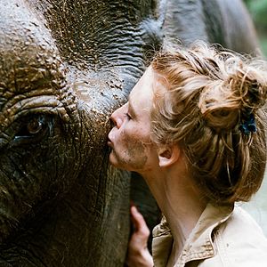Foto Love & Bananas: An Elephant Story