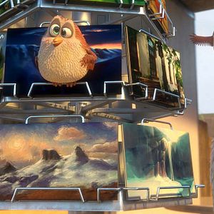 Foto Ploey: Cabeza de chorlito