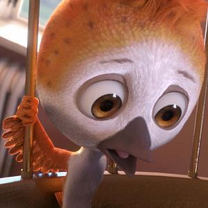 Foto Ploey: Cabeza de chorlito