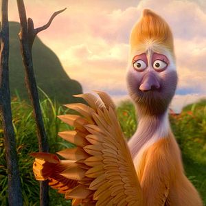 Foto Ploey: Cabeza de chorlito