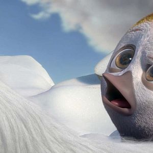 Foto Ploey: Cabeza de chorlito