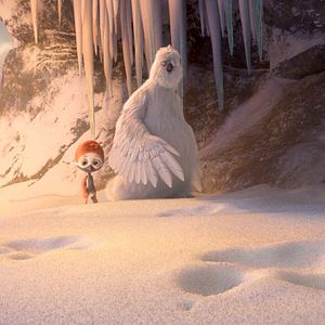 Foto Ploey: Cabeza de chorlito