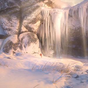 Foto Ploey: Cabeza de chorlito