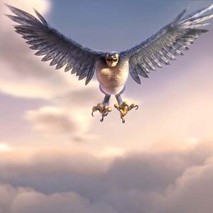 Foto Ploey: Cabeza de chorlito