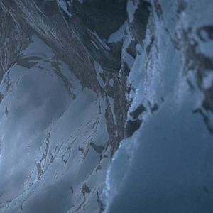 Foto Ploey: Cabeza de chorlito