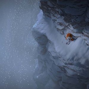 Foto Ploey: Cabeza de chorlito