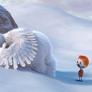 Foto Ploey: Cabeza de chorlito