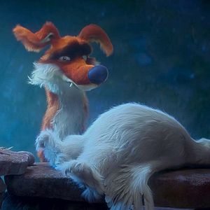 Foto Ploey: Cabeza de chorlito