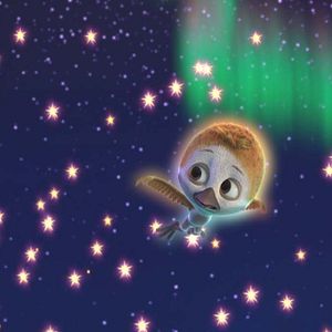 Foto Ploey: Cabeza de chorlito