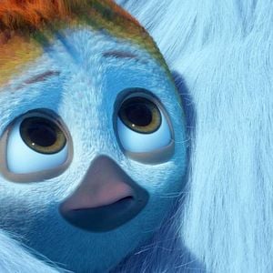 Foto Ploey: Cabeza de chorlito