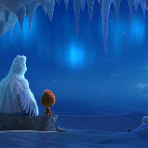 Foto Ploey: Cabeza de chorlito