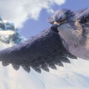 Foto Ploey: Cabeza de chorlito