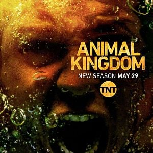 Foto Instinto Animal