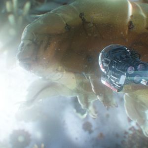 Foto Ant-Man and the Wasp