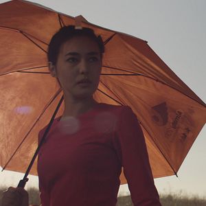 Foto The Gentle Indifference of the World