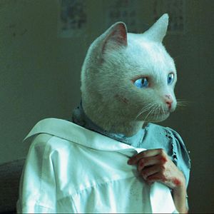 Foto Ten Years in Thailand