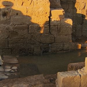 Foto El Papa Francisco - un hombre de palabra