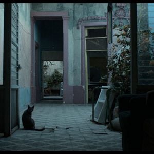 Foto Los años azules