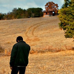 Foto El peral silvestre