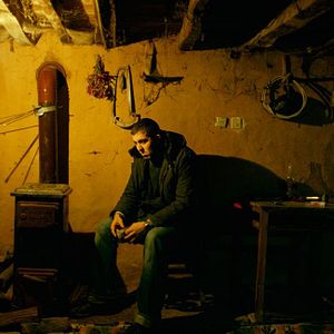 Foto El peral silvestre