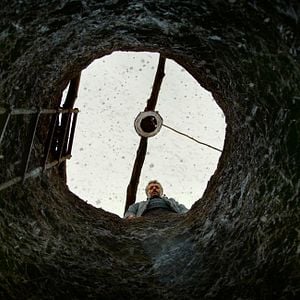 Foto El peral silvestre