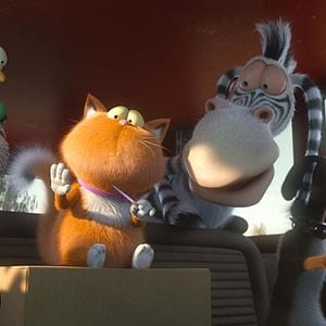 Foto Agente 00 - gato