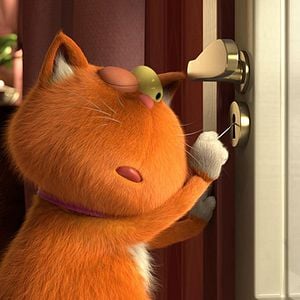 Foto Agente 00 - gato