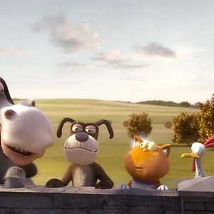 Foto Agente 00 - gato