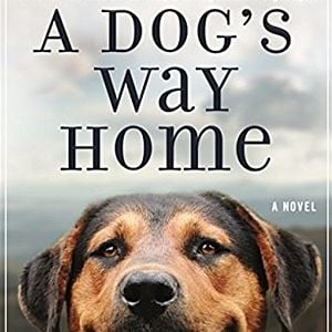 Foto Mis huellas a casa