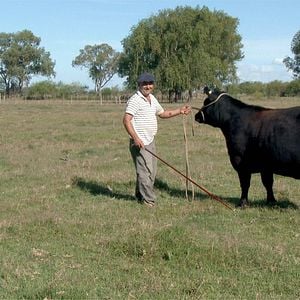 Foto Todo sobre el asado