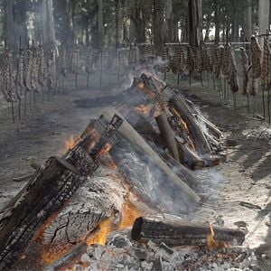 Foto Todo sobre el asado