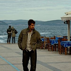 Foto El peral silvestre