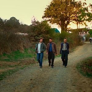 Foto El peral silvestre