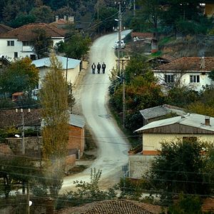 Foto El peral silvestre