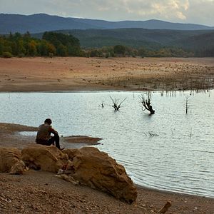 Foto El peral silvestre