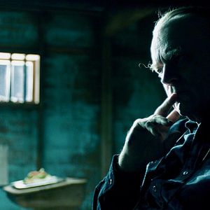 Foto Criaturas nocturnas