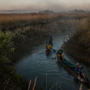 Foto Into the Okavango
