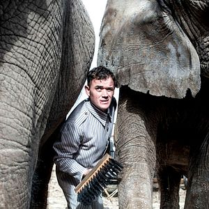 Foto O grande circo místico