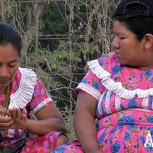 Foto Siempre andamos caminando