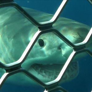 Foto Terror profundo