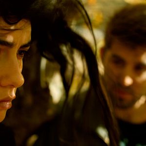 Foto El peral silvestre