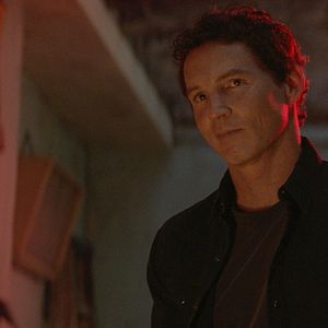 Foto Instinto Animal