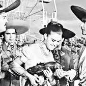 Foto El gallo de oro