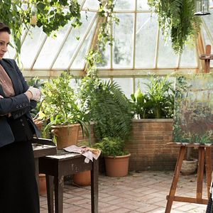 Foto Down a Dark Hall