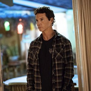 Foto Instinto Animal