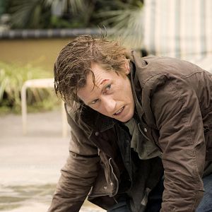 Foto Instinto Animal