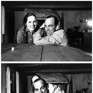 Foto Buscando a Ingmar Bergman